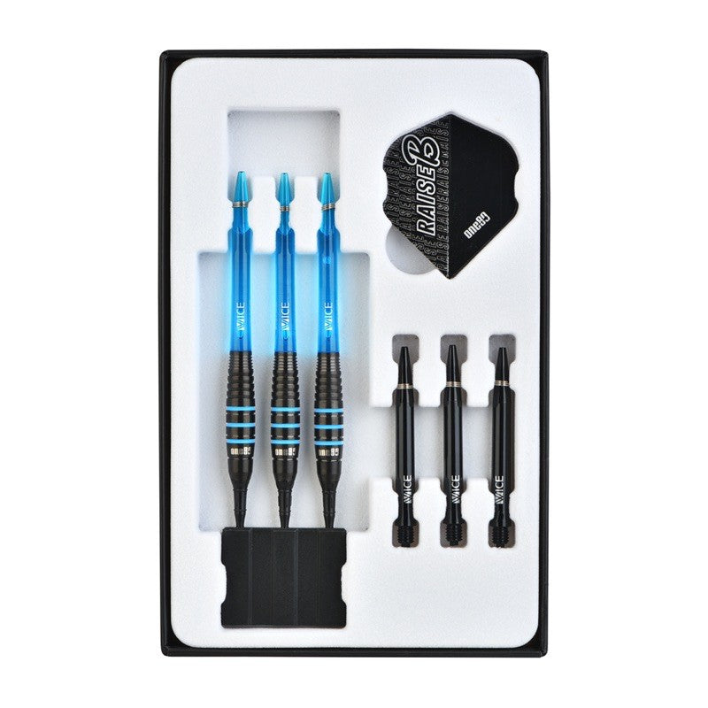 One80 Darts • Raise BAQ • Raise B Aqua • 17.5g • SGDARTS