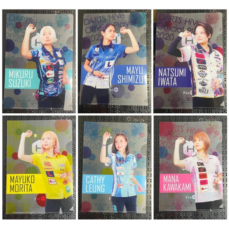 【Limited Edition】 Pro Darts Player Poster / Postcard / File • SGDARTS
