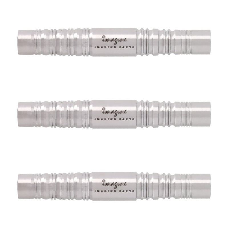 Imagine Darts • Protector Phoenix • 17g • SGDARTS