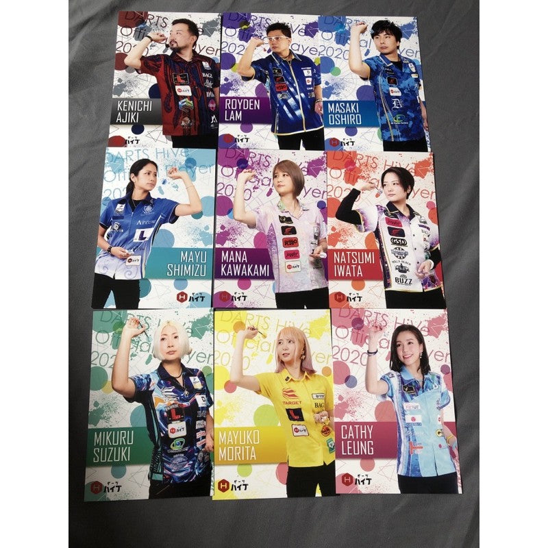 【Limited Edition】 Pro Darts Player Poster / Postcard / File • SGDARTS