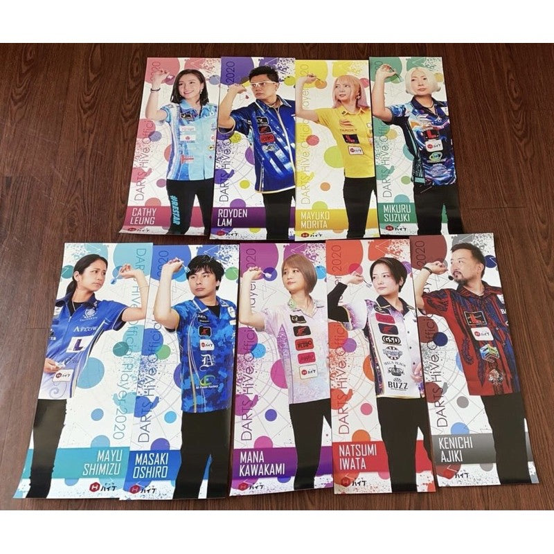 【Limited Edition】 Pro Darts Player Poster / Postcard / File • SGDARTS