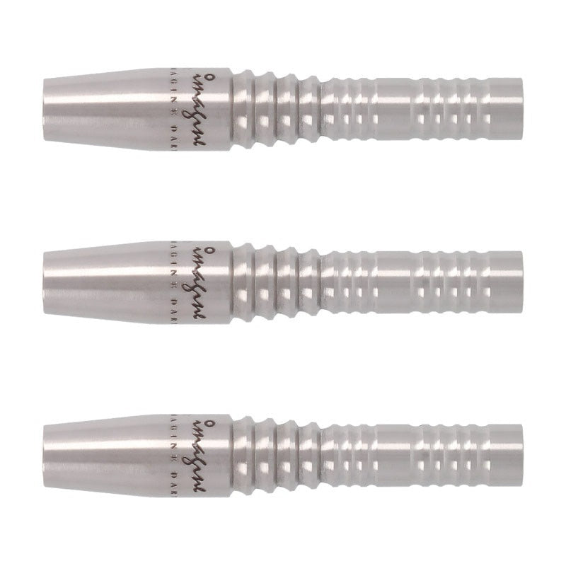 Imagine Darts • Protector Geese • 16.5g • SGDARTS