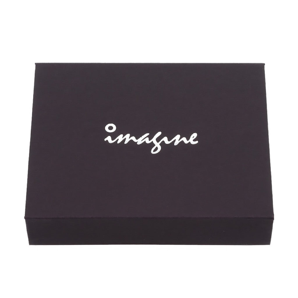 Imagine Darts • CL • Lin Ching Lung • 19.5g • SGDARTS