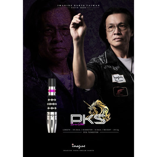 Imagine Darts • PKS • Kevin Shen • 19.5g • SGDARTS