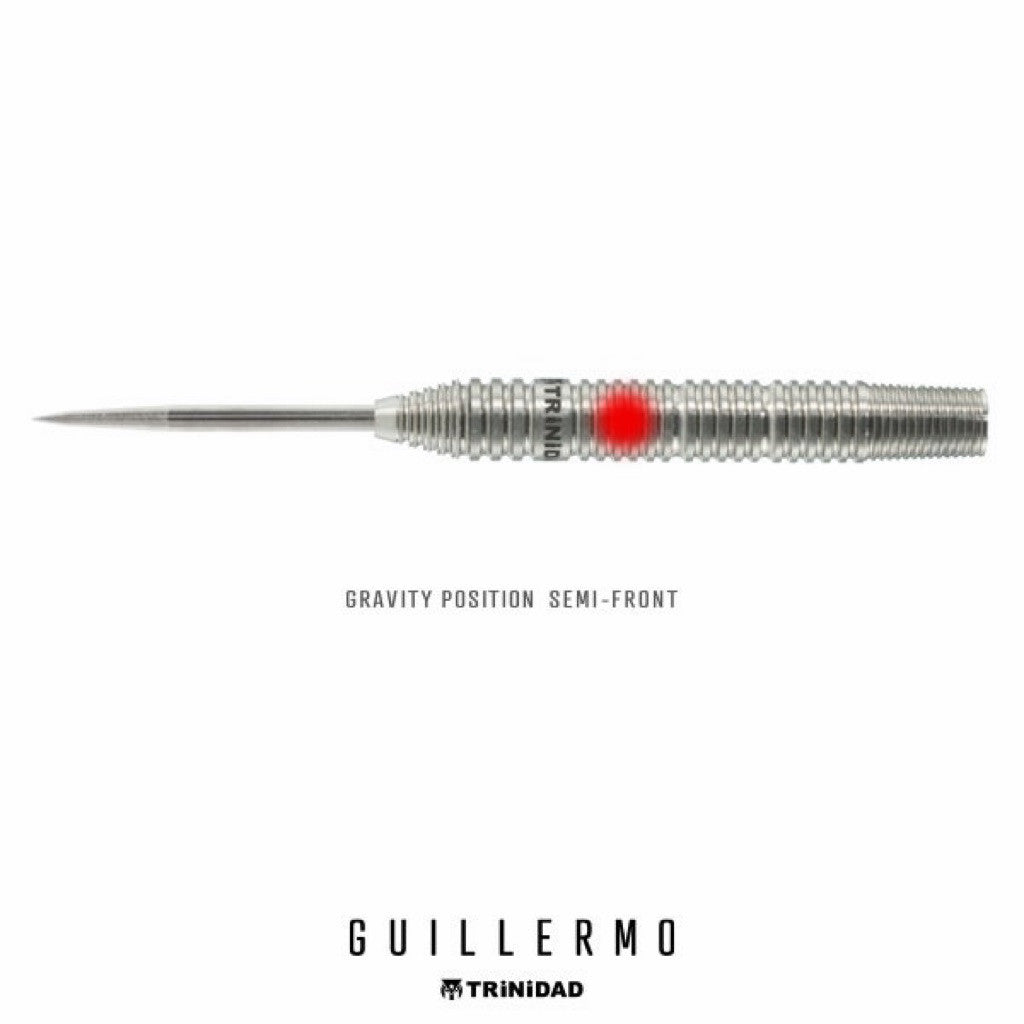 [STEELTIP] TRiNiDAD Pro Guillermo • Ryu Fukuda • 22g • SGDARTS