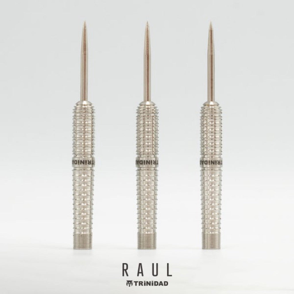 [STEELTIP] TRiNiDAD Pro Raul • Yasuyoshi Matsumoto • 22.5g • SGDARTS