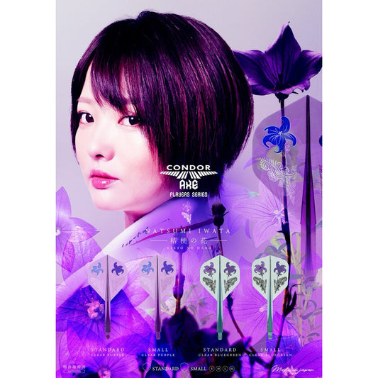 Condor Axe • Kikyo No Hana • [Standard] • [Shape] • Natsumi Iwata • SGDARTS