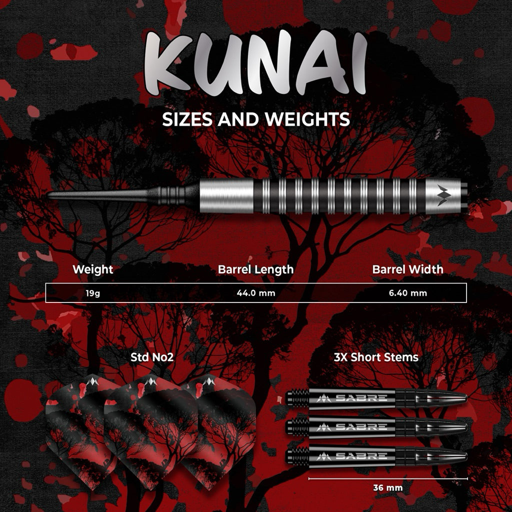 Mission Darts • Kunai • 19g • SGDARTS