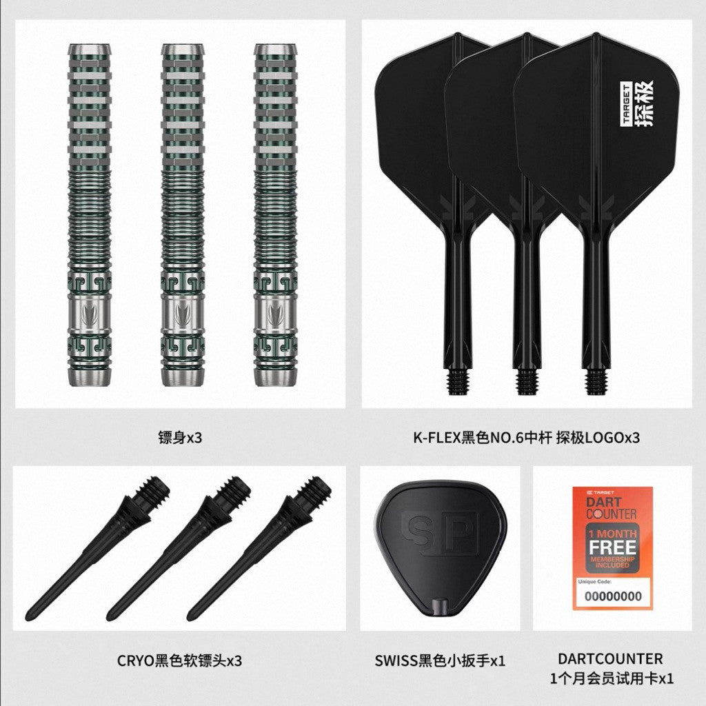 Target Darts • Discovery Will G1 • 林志伟 • 19g • SGDARTS