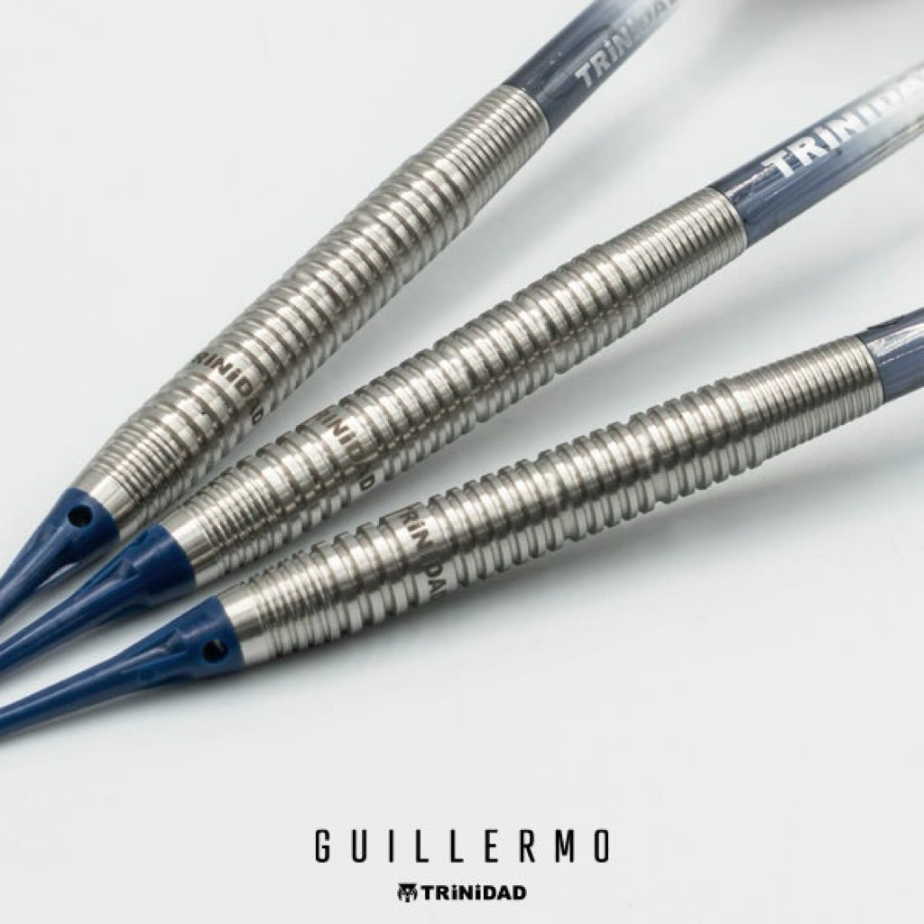 TRiNiDAD Darts • Guillermo • Ryu Fukuda • 20.5g • SGDARTS