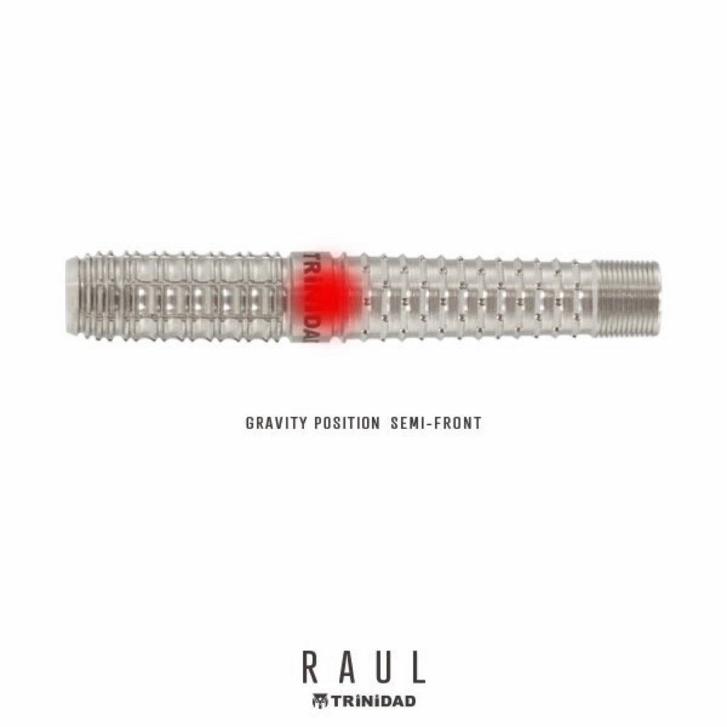 TRiNiDAD Darts • Raul • Yasuyoshi Matsumoto • 21.5g • SGDARTS