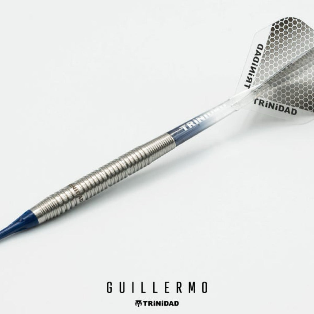 TRiNiDAD Darts • Guillermo • Ryu Fukuda • 20.5g • SGDARTS