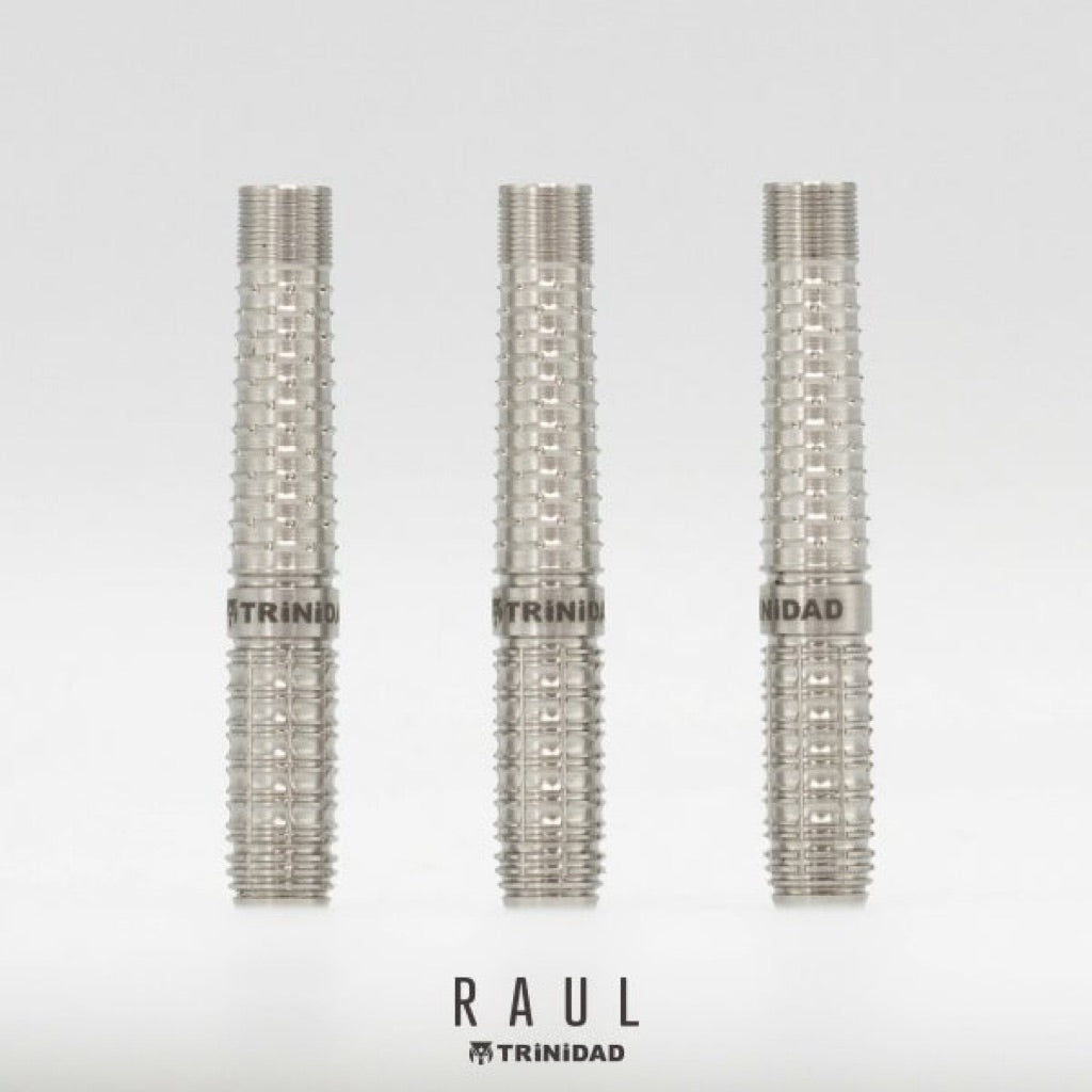 TRiNiDAD Darts • Raul • Yasuyoshi Matsumoto • 21.5g • SGDARTS