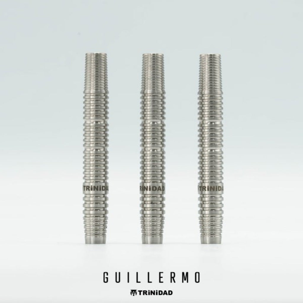 TRiNiDAD Darts • Guillermo • Ryu Fukuda • 20.5g • SGDARTS